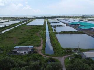 Bán 12hecta đất tại khu du lịch biển gò công đông, tiền giang. đường xe tải. giá 60 tỷ, sổ hồng