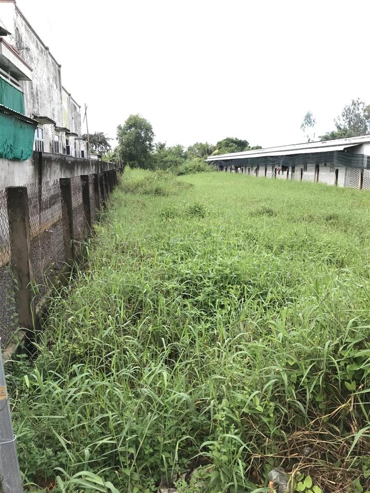 Đất full thổ cư 1.190m² mt đường hl15 tp gò công, tiền giang. đường xe container 10t, 12,5 tỷ