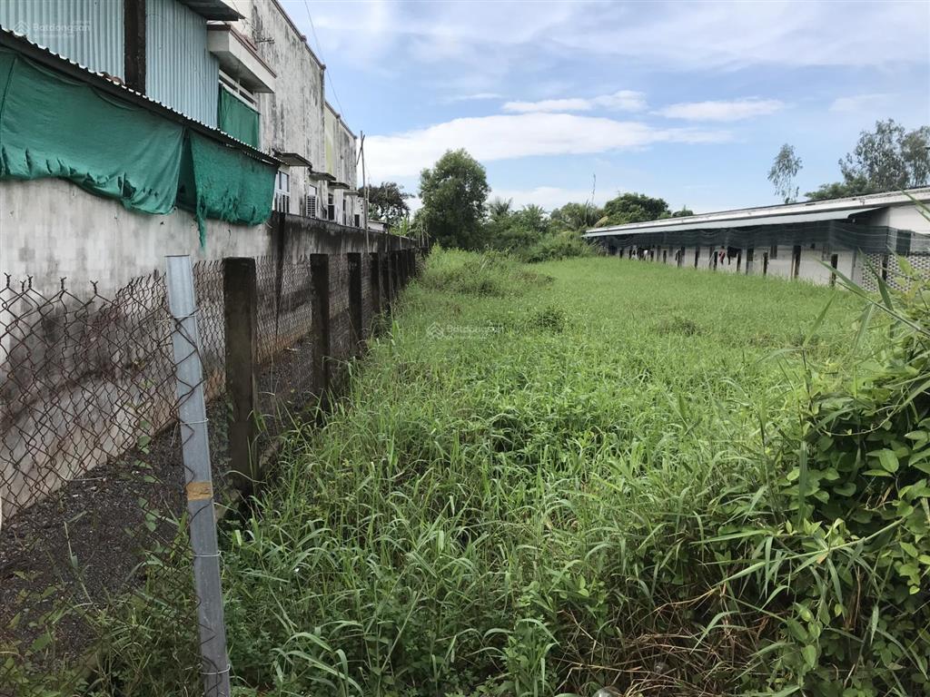 Đất full thổ cư 1.190m² mt đường hl15 tp gò công, tiền giang. đường xe container 10t, 12,5 tỷ