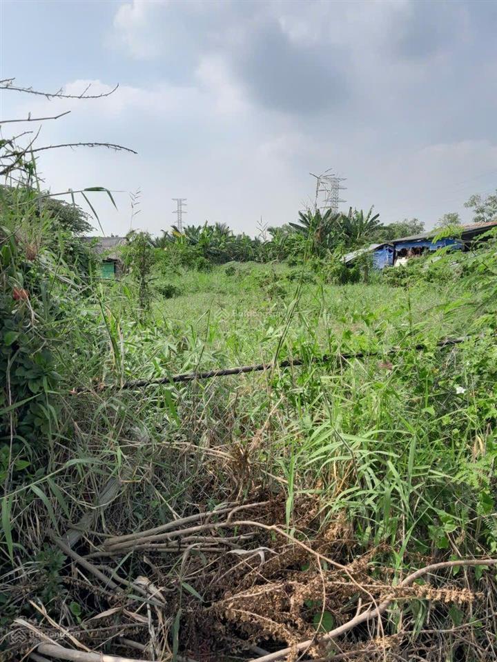 Bán đất mặt tiền đường huyện 07, xã tân thành, gò công đông tiền giang. 898m2, gần biển, sổ hồng