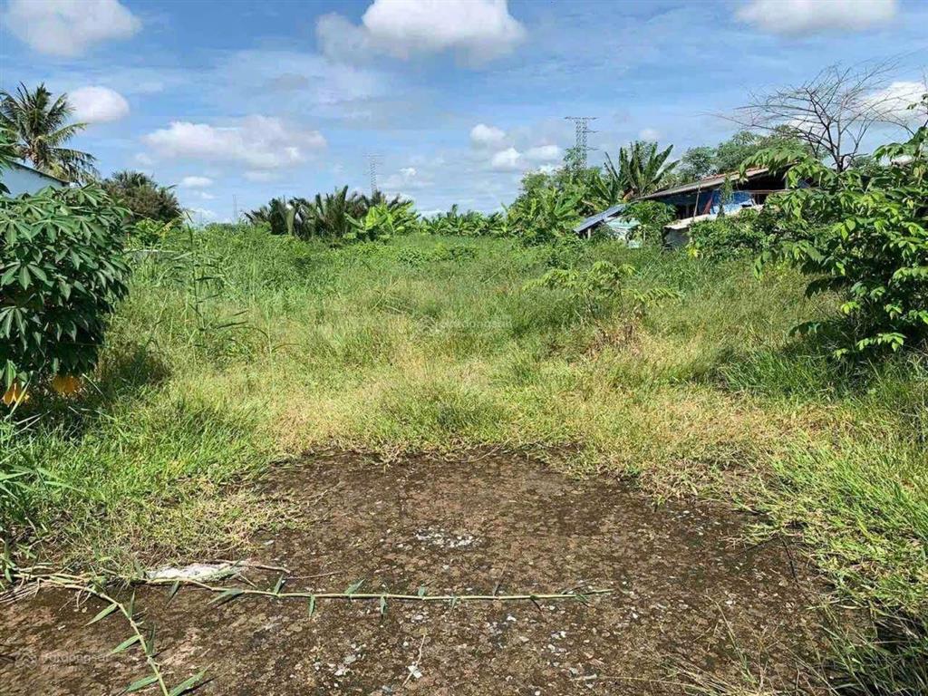 Bán đất mặt tiền đường huyện 07, xã tân thành, gò công đông tiền giang. 898m2, gần biển, sổ hồng