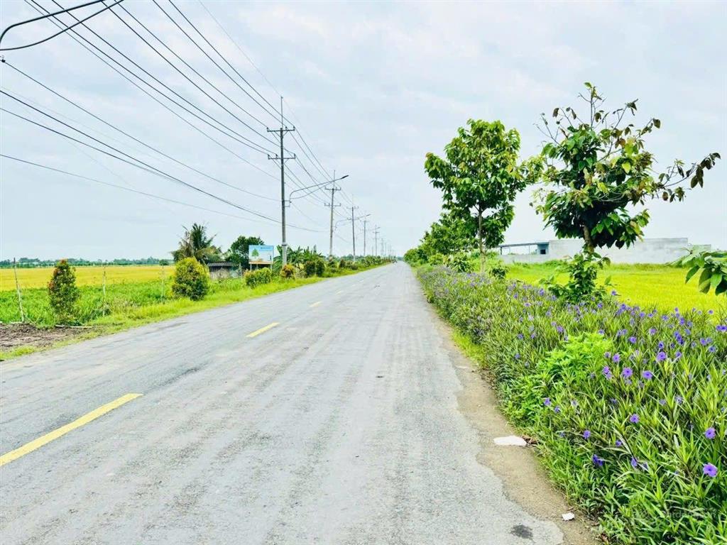 9.900m2 đất gò công tiền giang, mặt tiền đường đt872b xe container. có 2.000m2 thổ, shr, 9 tỷ tl