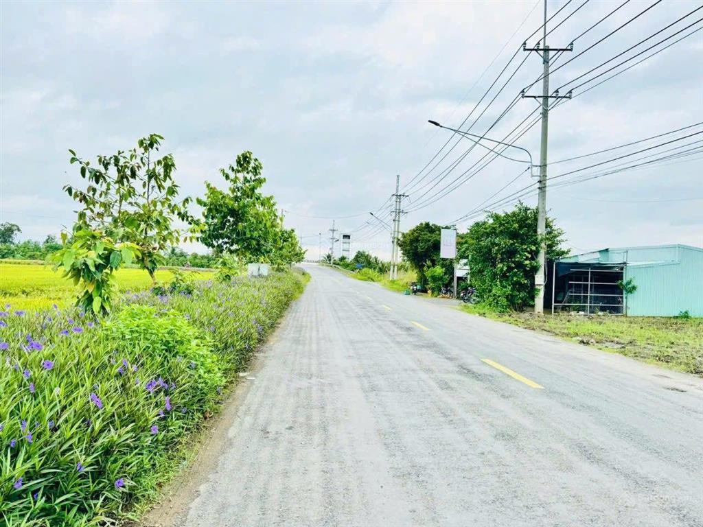 9.900m2 đất gò công tiền giang, mặt tiền đường đt872b xe container. có 2.000m2 thổ, shr, 9 tỷ tl