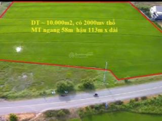 9.900m2 đất gò công tiền giang, mặt tiền nhựa đường xe container. có 2.000m2 thổ, shr, 9,99 tỷ tl