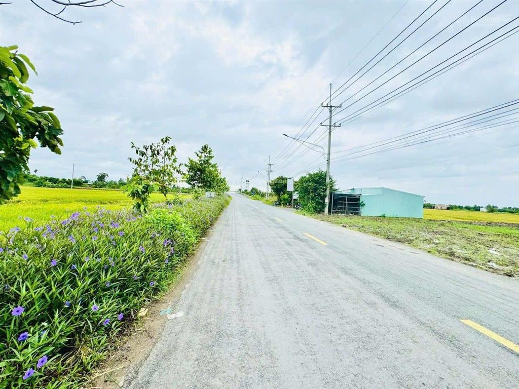 9.900m2 đất gò công tiền giang, mặt tiền đường đt872b xe container. có 2.000m2 thổ, shr, 9 tỷ tl