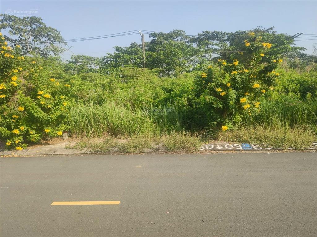 Chính chủ bán đất dự án rio veder phường phú hữu q9