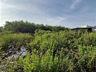 Bán lô đất hẻm đường rừng sác, xã bình khánh, cần giờ, dt 322m, giá 1,25 tỷ