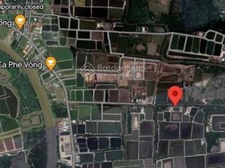 Bán đất đường lý nhơn, xã lý nhơn, cần giờ 20 x 50=1.000m2, giá 950 triệu