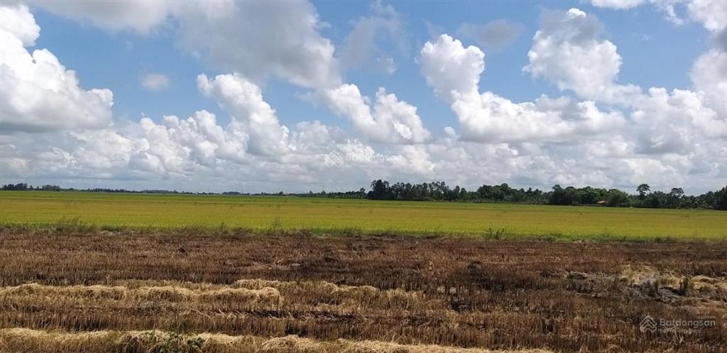 Cần bán gấp 2 sào đất tại xã bàu hàm 2, h. thống nhất. t. đồng nai, 1,8 tỷ/ 1 sào