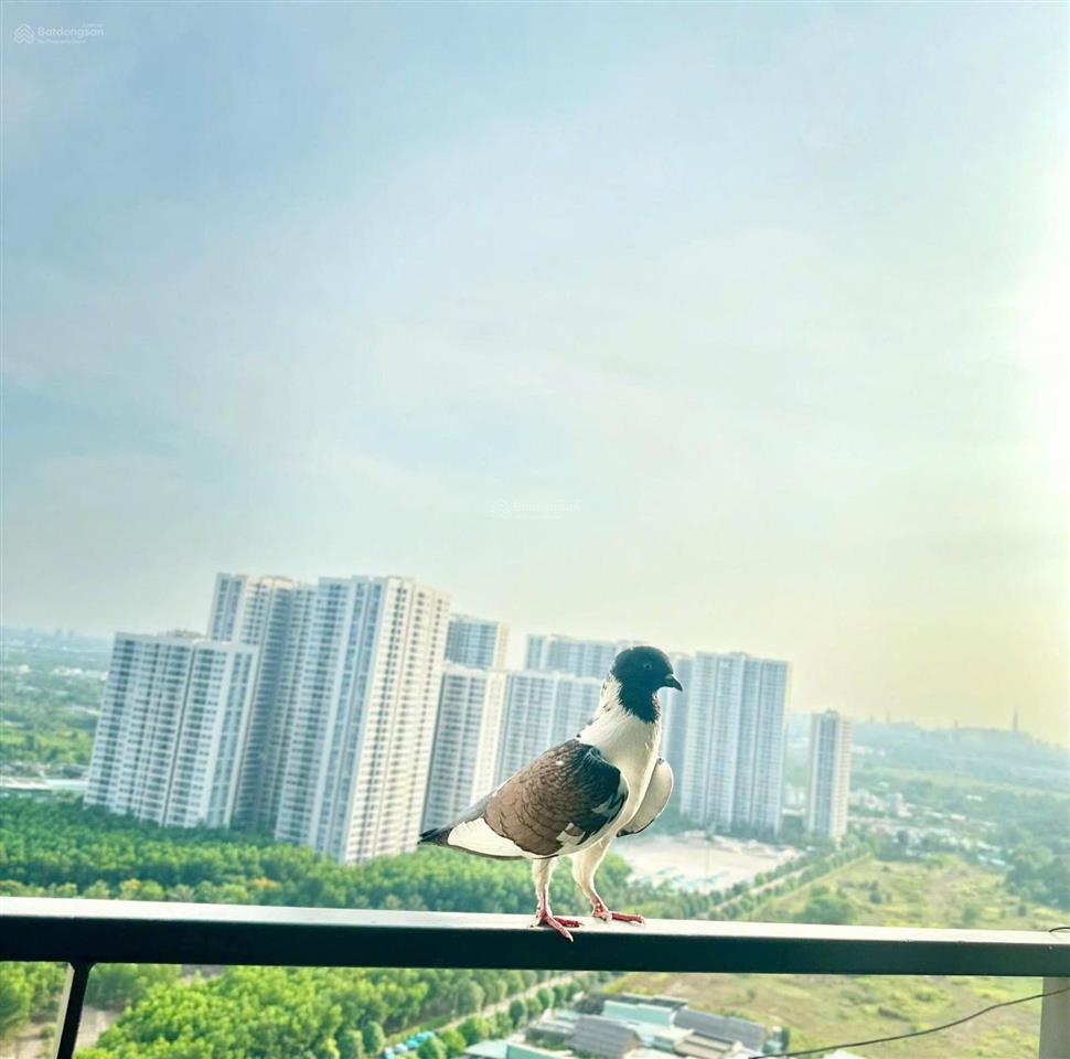 Giảm sốc 23%! căn 3pn tropical bs9 view thoáng mát, giá chỉ 3,9 tỷ cơ hội hiếm có, kề vincom, mới