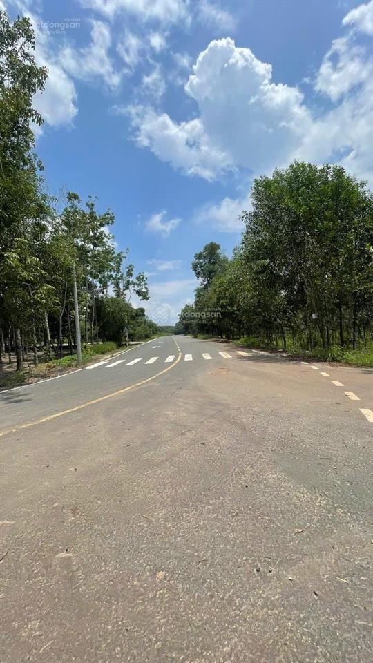 Bán đất sào ngay khu công nghiệp minh hưng. giá 390 triệu. đất phường minh hưng tỉnh đồng nai mới