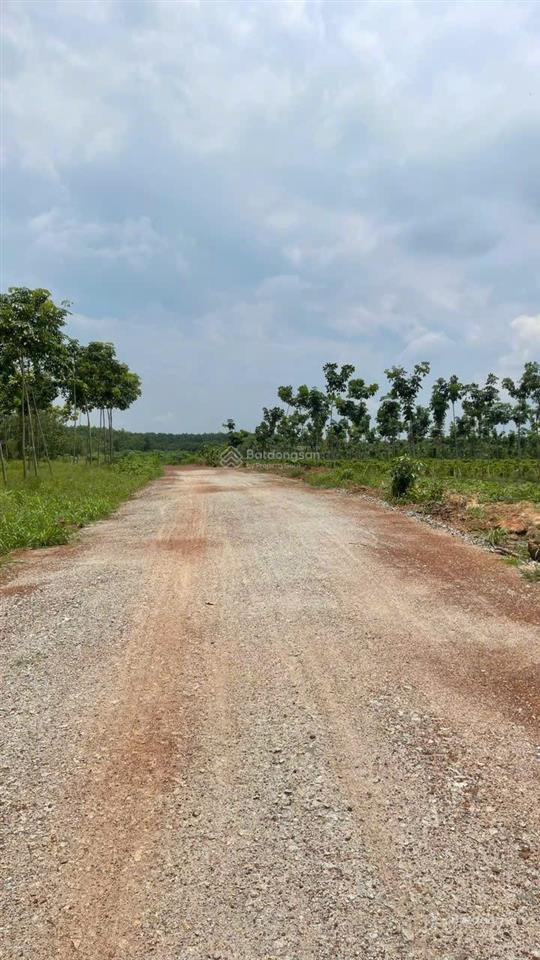 Bán đất sào ngay khu công nghiệp minh hưng. giá 390 triệu. đất phường minh hưng tỉnh đồng nai mới