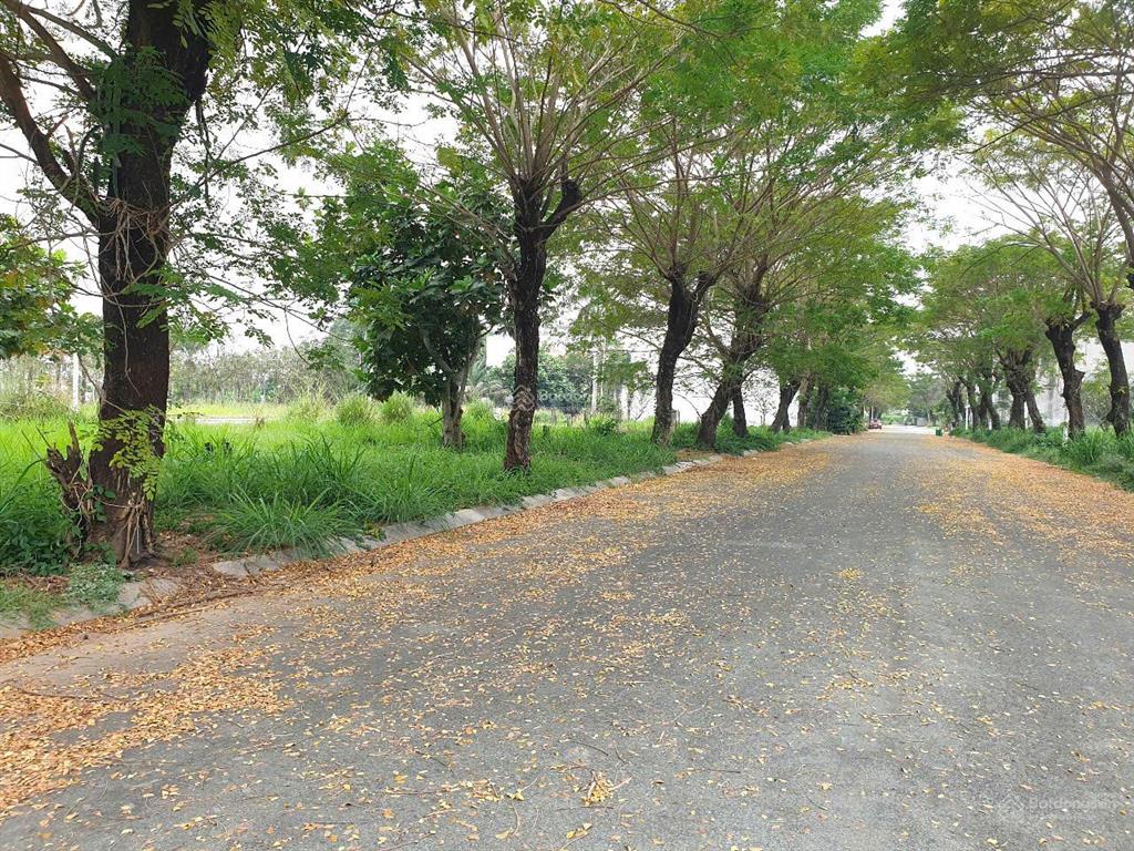 Đất sổ đỏ, xd tự do, khu tam đa  bcr. lô 2 mt trước sau. dt 6.5x18,6=122m2.  0902 746 ***