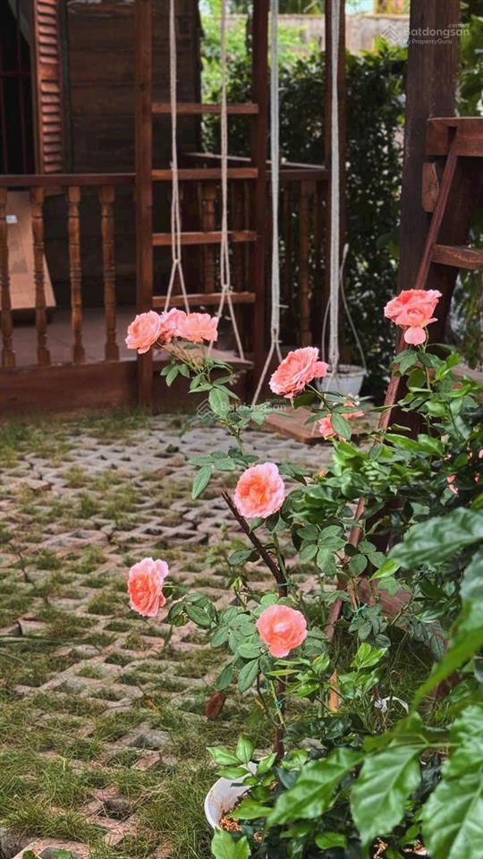 Bán đất, tặng nhà gỗ. dt 133,5m2, chỉ 6.1 tỷ.  0902,746.319