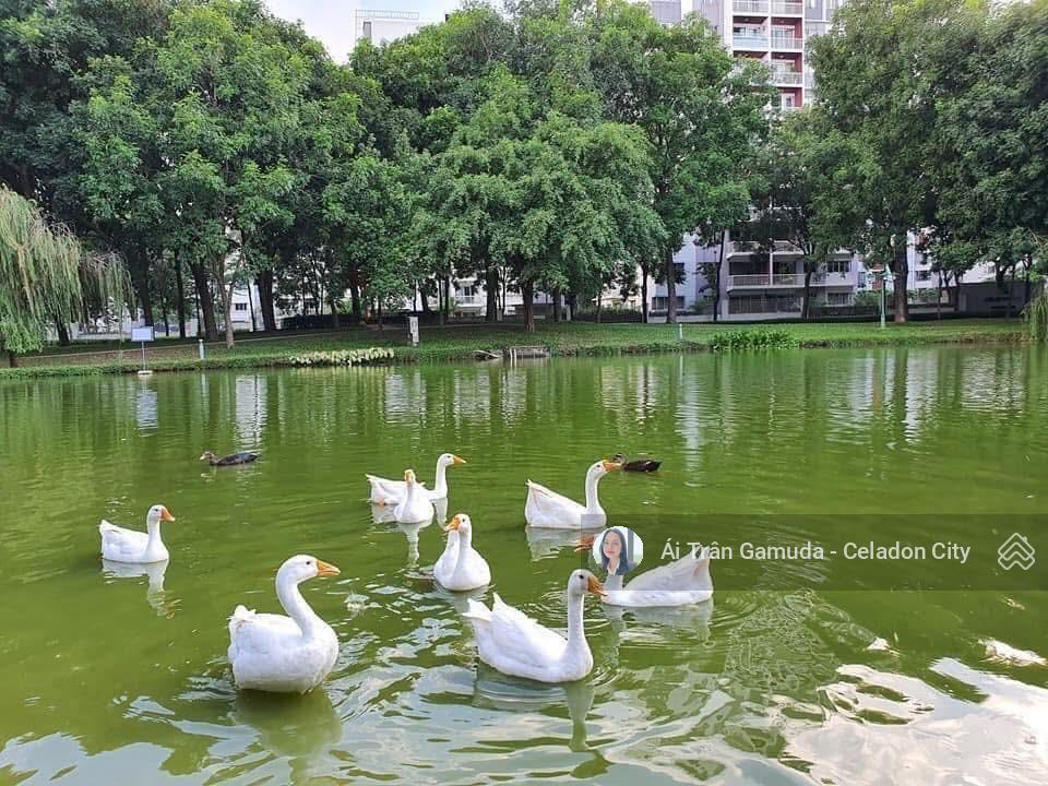 Hàng hiếm 97m2 diamond brilliant nhà mới 100% view hồ bơi giá 7,5 tỷ all in. nhận nhà ngay