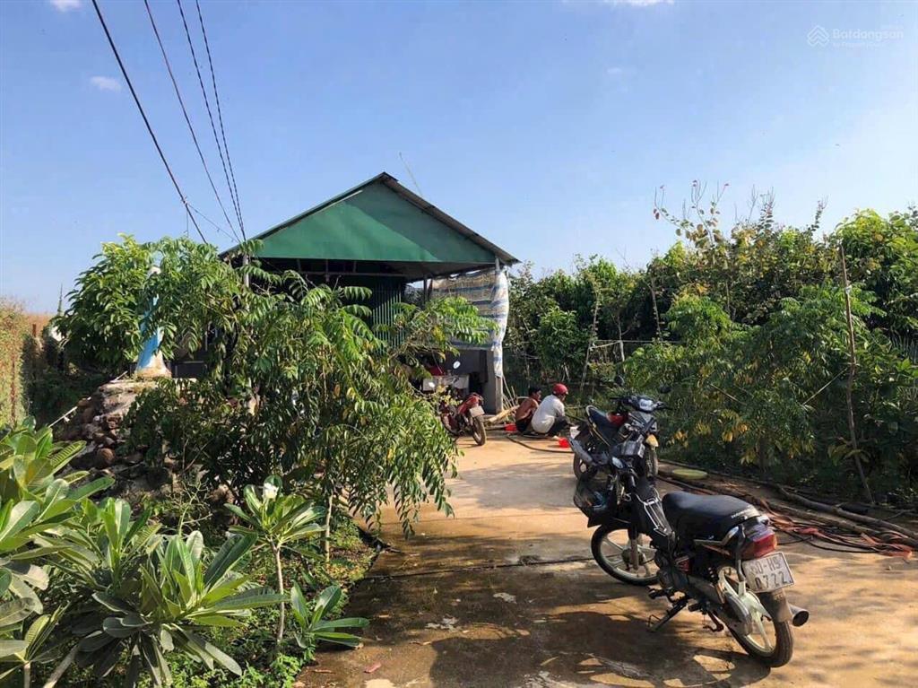 Cần bán nhà vườn 11.000m2 quy hoạch đất ở tại nông, cách sân bay long thành 15km. cách sài gòn 30km