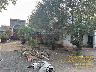 Nh thanh lý nhà thiện tânvc, dt 7.5x114, hướng đông bắc, giá chỉ 3.2 tỷ.