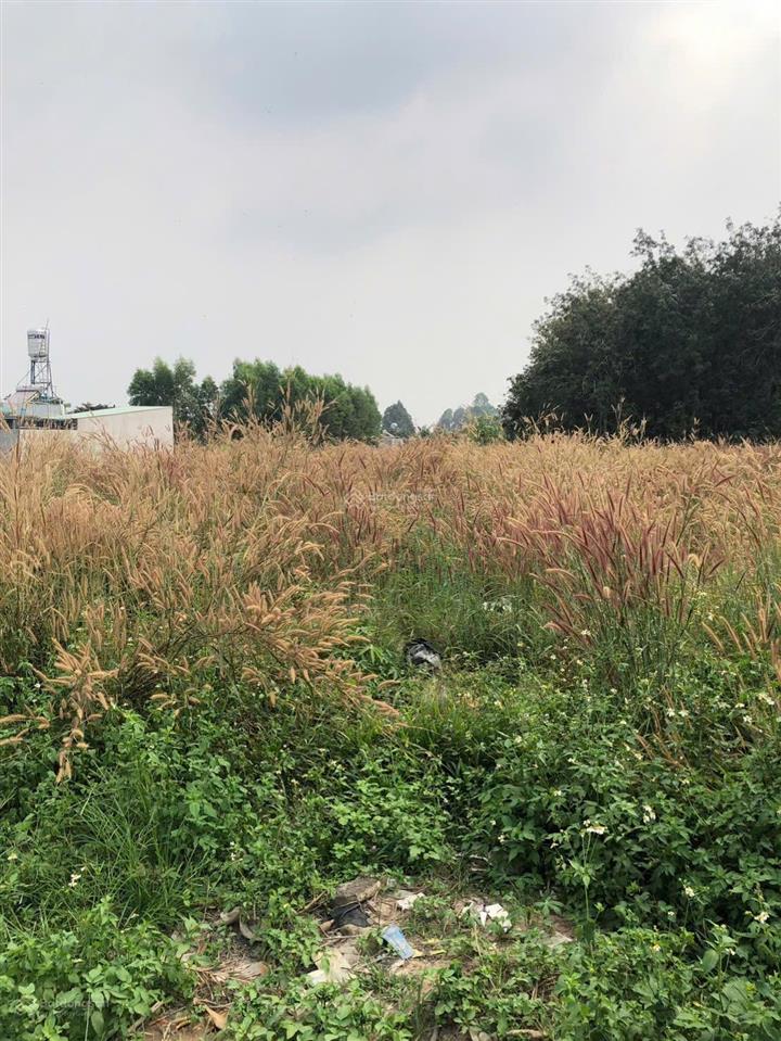 Bán lô đất sổ riêng thổ cư ngay kcn giang điền , an viễn chỉ 950tr đường ô tô to bự , khu dân cư