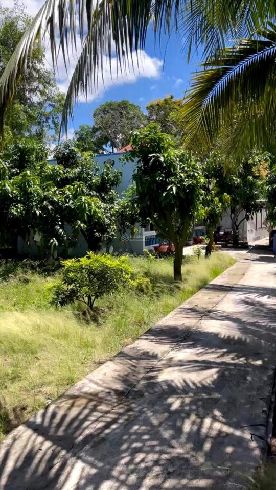 Mặt tiền nguyễn thái bình 7000 m2  ngay giáo xứ thánh giuse  8 tỷ