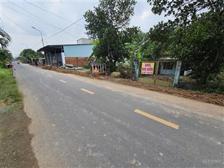 Gia đình tôi bán nhà vườn rất nhiều cây ăn trái  mt đường bình hòa cây dương  1200m2