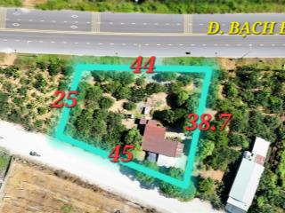 Gia đình định cư bán gấp nhà vườn mt đường bạch đằng, 1442 m2, shr thổ cư, 10 triệu/m2