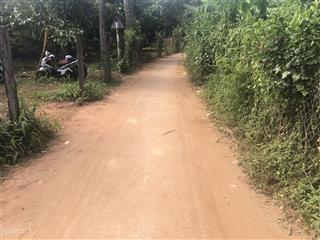 Nền thổ cư sổ riêng giá rẻ phường bình lộc