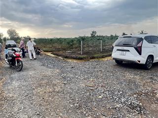 690tr/1009m2 đất vườn, đang trồng đu đủ, bến lức long an. đường ô tô tiện cất nhà vườn