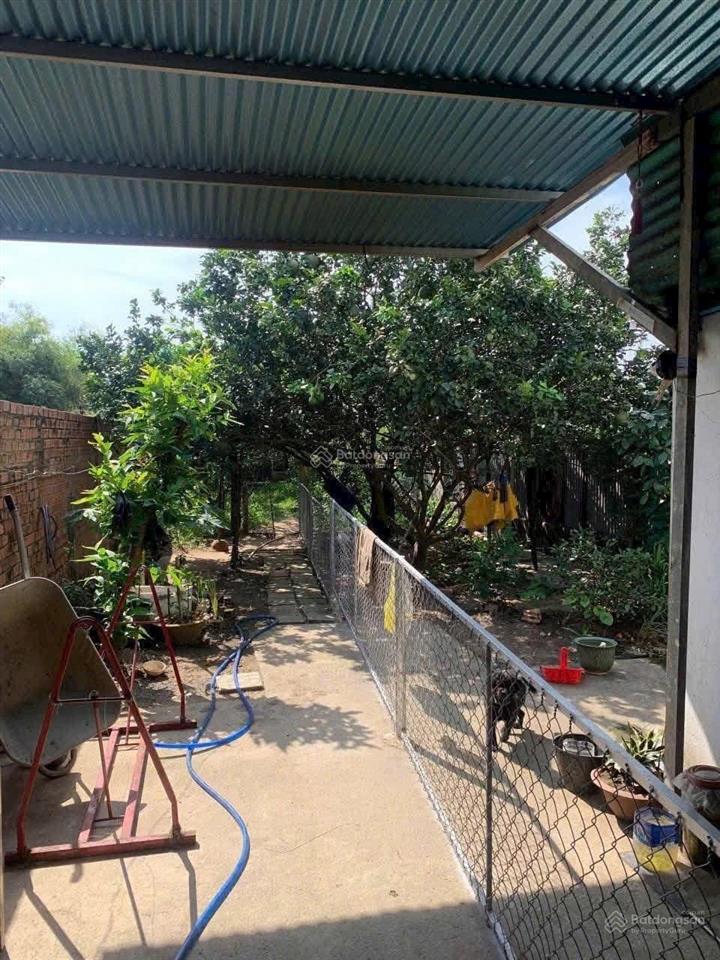 Bán gấp nhà vườn tại p. tân triều (bình lợi cũ). diện tích 402m2 (75m2 thổ cư), shr, giá bán 2,4 tỷ