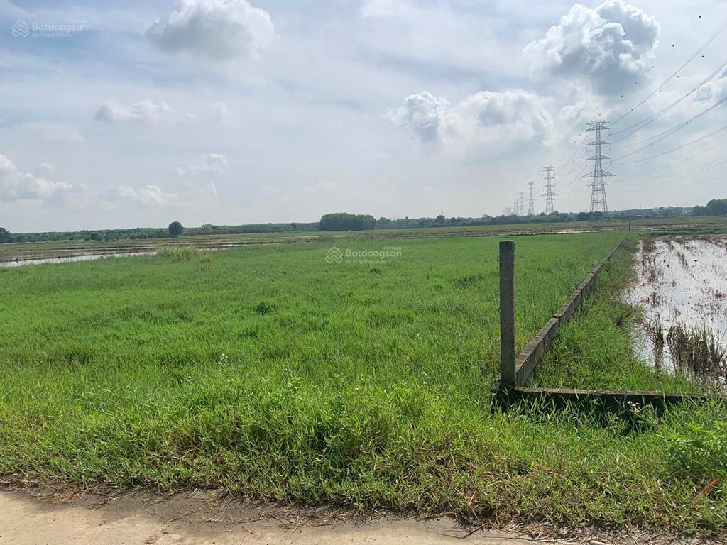 Chính chủ gửi bán đất mt đường giáo tùng, p. tân triều. diện tích 942m2, đất nn, shr, giá 2,35 tỷ