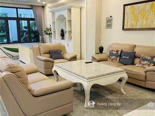 Bán cặp nhà hoàn thiện đẹp nhất mặt tiền đường n1 sổ hồng hoàn công 500m2 sàn ngang 10m giá 28.5 tỷ