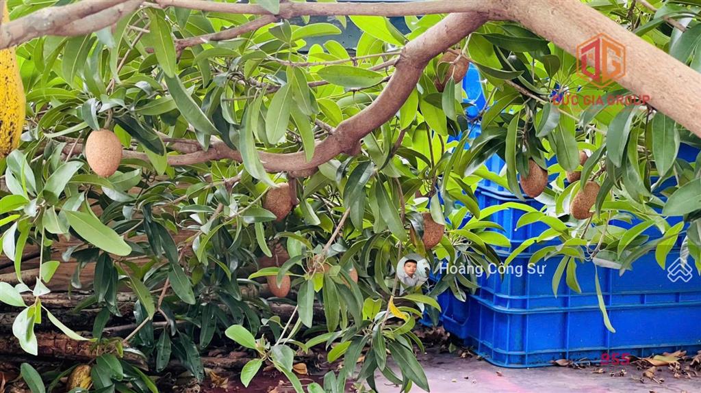 Bán cặp nhà hoàn thiện đẹp nhất mặt tiền đường n1 sổ hồng hoàn công 500m2 sàn ngang 10m giá 28.5 tỷ