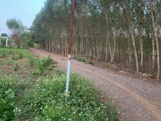 Bán đất 1300m2 tại bình an, long thành, đồng nai, giá 3 triệu / m2
