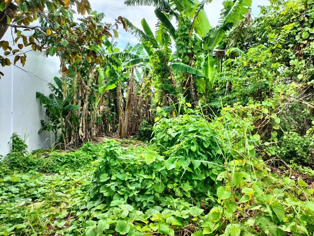 Bán đất nền dự án golden city an giang 216m2 tại nguyễn thái học, long xuyên