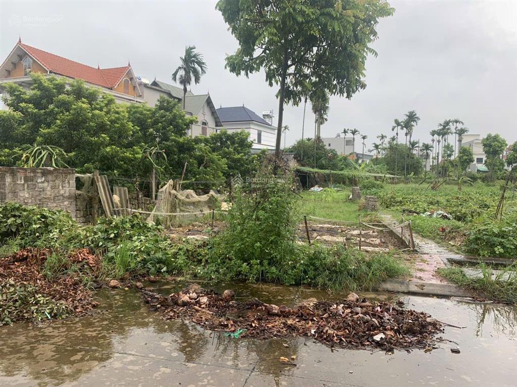 Thanh lý đất trống tại thôn thiện đáp, xã kim xuyên, huyện kim thành, tỉnh hải dương