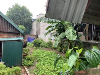 Chính chủ bán thửa đất số 181  1, tờ bản đồ số 14, tại tổ 18, đồng mai, hà đông, hà nội