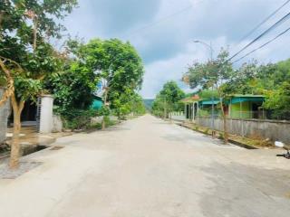 Bán gấp 441m2 lô đất mặt ngõ xóm tân triều, xã tân thành, yên thành, nghệ an