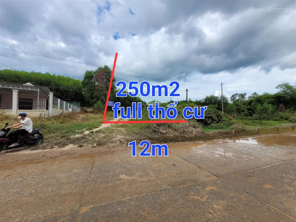 Thanh lý 250m2 full thổ phường thanh thủy, huế, mt đường lớn 12m, sổ hồng trao tay, 0965 833 ***