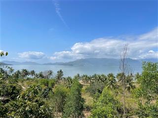 Cần bán 2 ha đất view biển cực đẹp vịnh nha phu  ninh phú