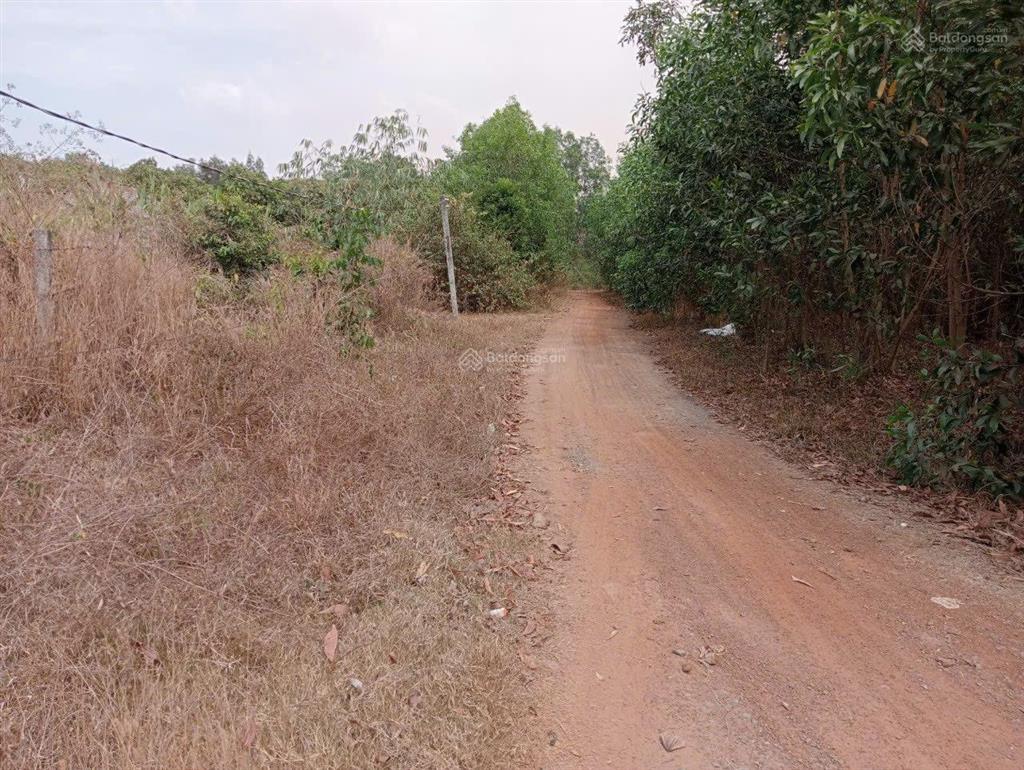 Cần bán đất tmdv ngay vị trí trước cửa ngõ sân bay long thành