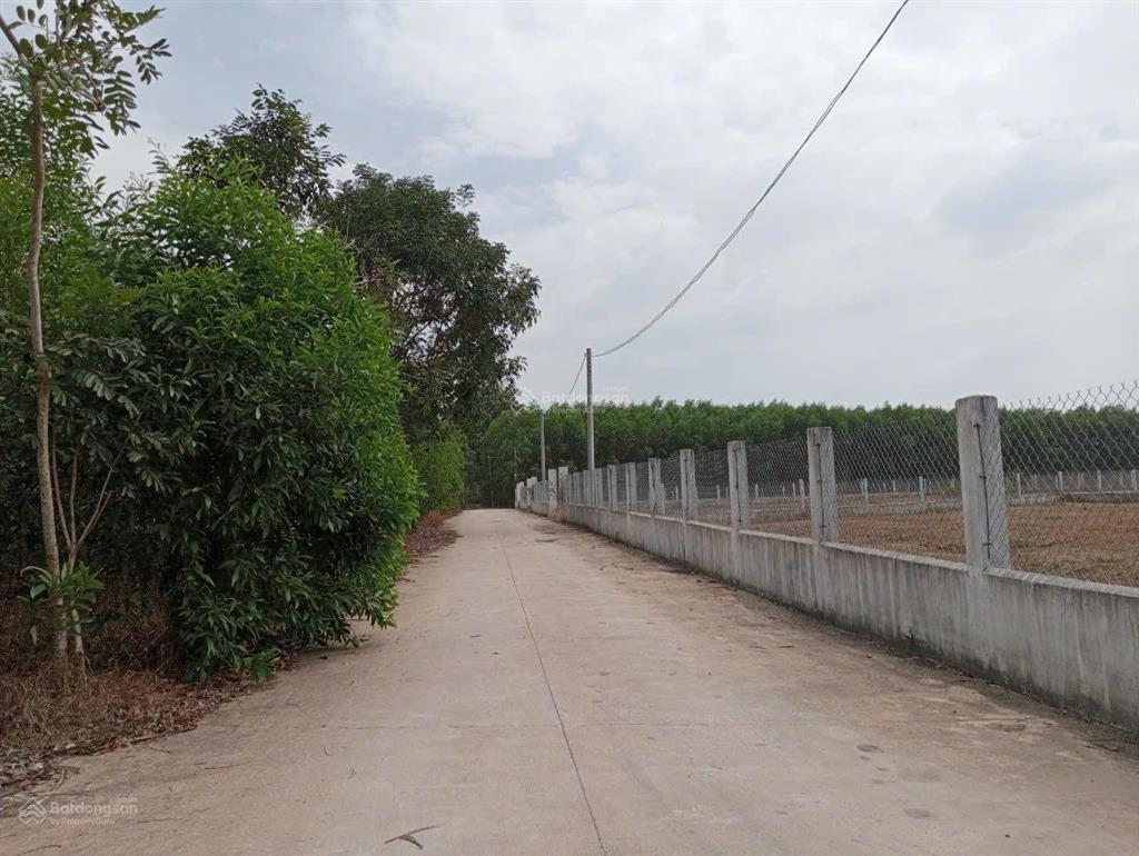 Cần bán đất tmdv ngay vị trí trước cửa ngõ sân bay long thành