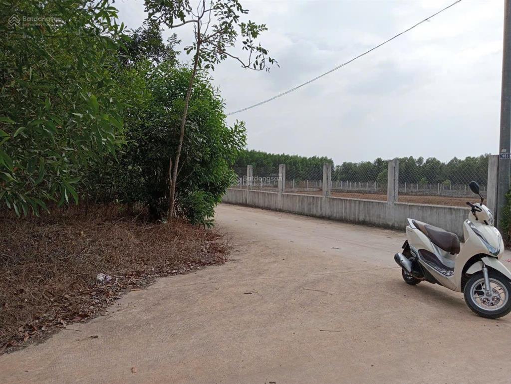 Cần bán đất tmdv ngay vị trí trước cửa ngõ sân bay long thành