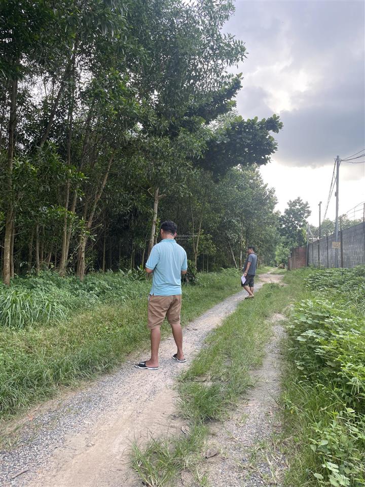 Bán đất tại xã tân hiệp, huyện long thành, đồng nai, 4 triệu/m2, 6000m2 hàng hiếm