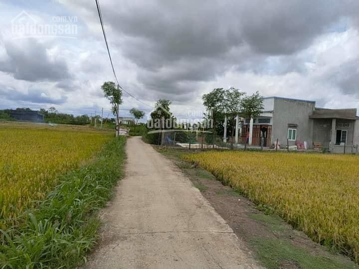 Cần bán lô đất 5 x 30m = 150m2 tại tân trung, gò công đông, tiền giang