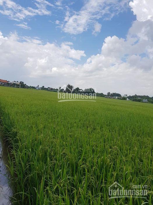 Cần bán lô đất 5 x 30m = 150m2 tại tân trung, gò công đông, tiền giang