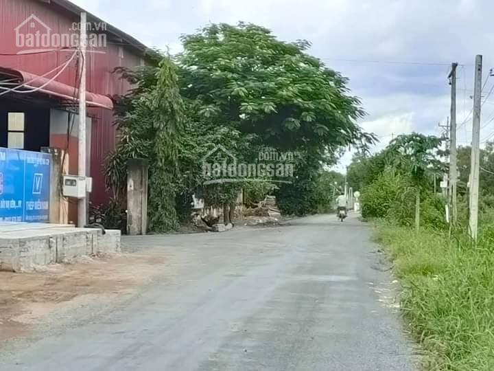 Cần bán lô đất 5 x 30m = 150m2 tại tân trung, gò công đông, tiền giang