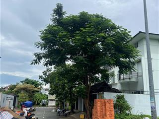 Bán nền biệt thự kdc vạn hưng phú nhà bè, 230m2, hg đ/nam, giá 41tr/m2.0933 490 ***