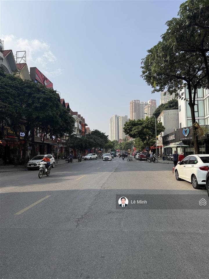 Biệt thự làng việt kiều dt 200m mt 10m chỉ 46 tỷ full nội thất nhập ngoại đường 17m ở và kd đỉnh