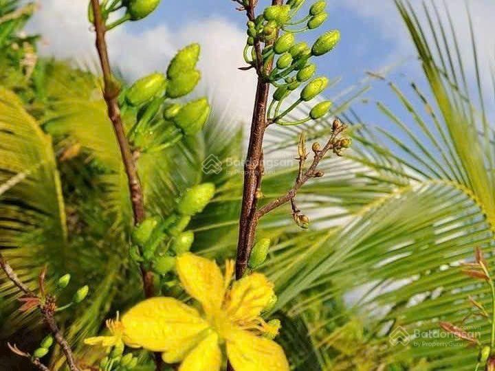 Bán lô đất đẹp mặt tiền tỉnh lộ 2 xã diên thọ vị trí cách ủy ban xã chỉ 2km