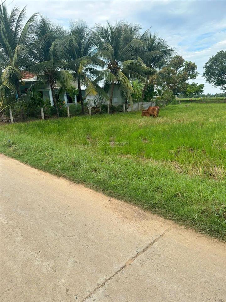 Bán lô đất thổ cư, 321 m2 xã ninh an, tx ninh hoà, giá bán 5 triệu/m2