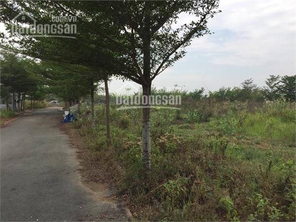 Bán đất dự án đông dương, phường phú hữu, quận 9, thành phố thủ đức, tp. hcm.  0914 920 ***